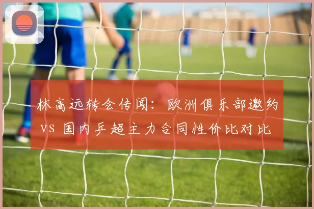林高远转会传闻：欧洲俱乐部邀约 vs 国内乒超主力合同性价比对比